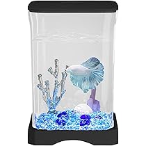 61dFphQxT+L._AC_UL210_SR210,